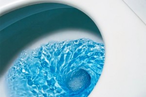 Color de las deposiciones, heces o excrementos: Cuándo preocuparse