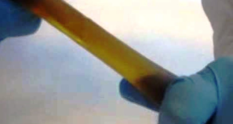 Creación de los nuevos polímeros auto-regenerables Terminator