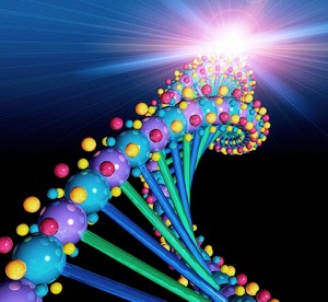 No se pueden patentar los genes humanos