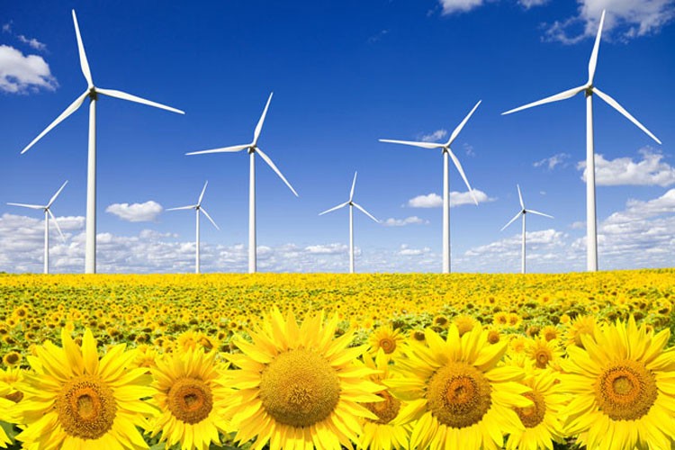 Seis mitos de las Energías Renovables