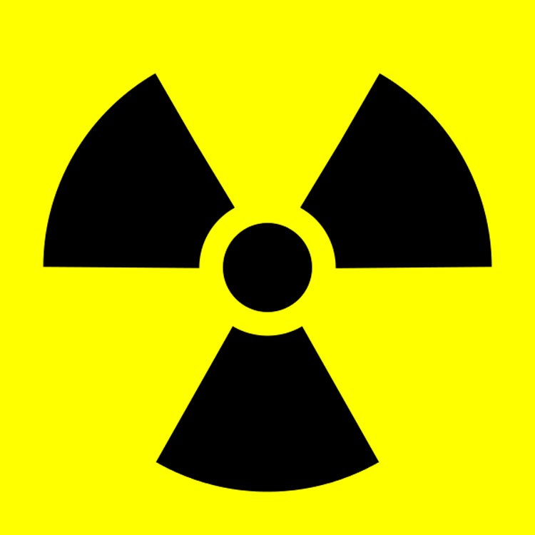 "Catástrofe siniestra": los teléfonos celulares y el cerebro del niño