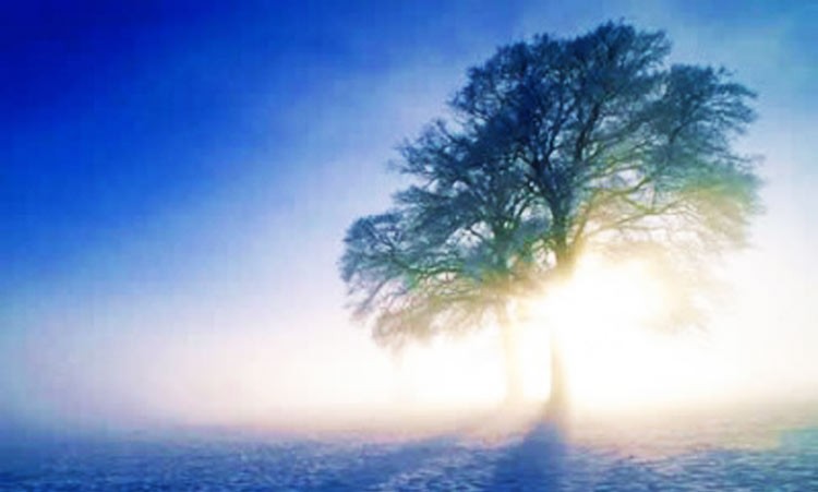 Juez rechaza la petición de resucitar legalmente a un muerto que está vivo en EE.UU.