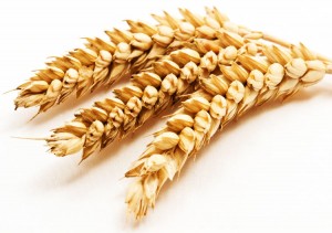 Preguntas frecuentes acerca de una dieta sin gluten