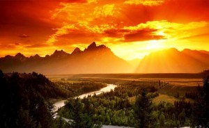 Scrappiness = felicidad