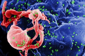 Descubierto Tenascin C, una proteína natural en la leche materna combate el VIH