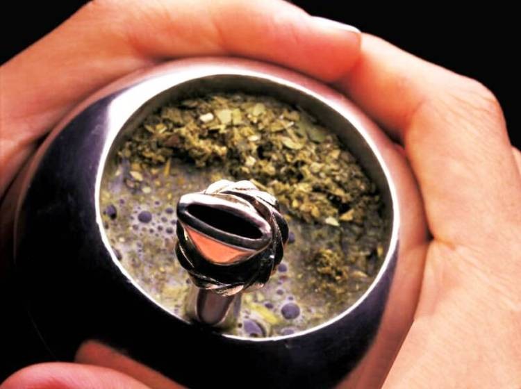 Los compuestos de la yerba mate inducen la muerte de las células de cáncer de colon