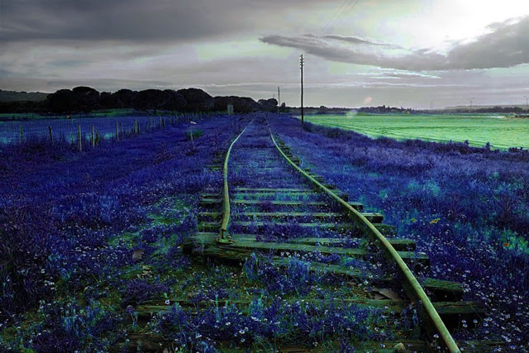 10 hechos que pasan en un día.