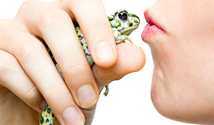 Deberás besar 15 sapos para tener a tu Príncipe Azul