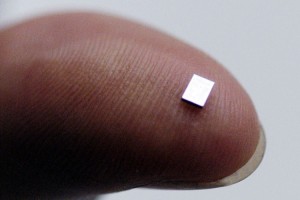 Microchip obligatorio para mayo del 2014