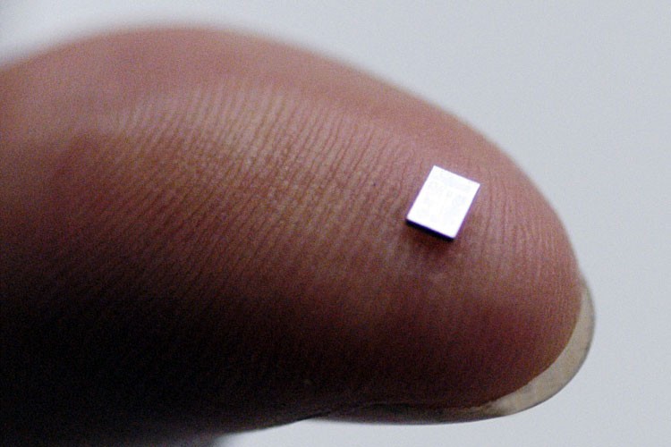 Microchip obligatorio para mayo del 2014