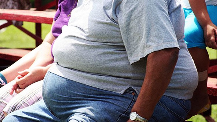 Los porqués de la creciente obesidad