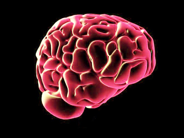 Aumentar la velocidad del funcionamiento cerebral X 7