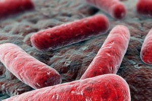 Un chip que permite escuchar a las bacterias