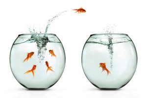 los introvertidos y extrovertidos