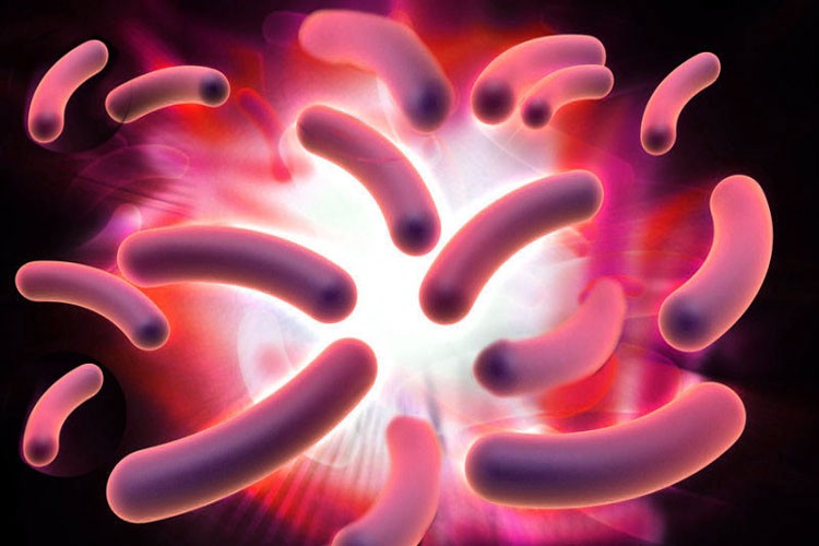 microbios de la electricidad