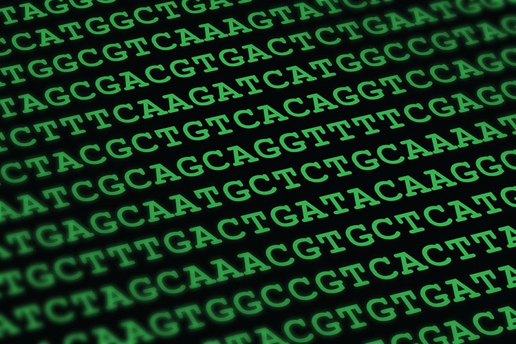 ADN “alfabético”