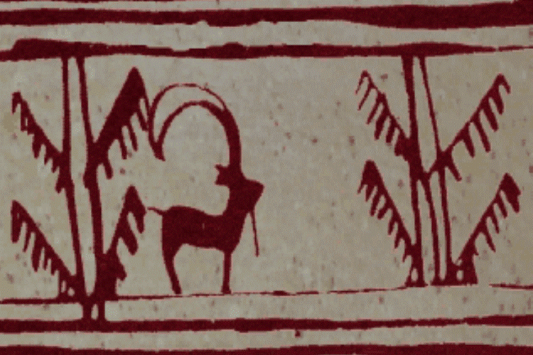 la Primera animación