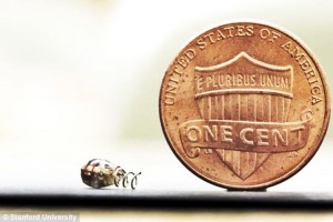 los microchips médicos