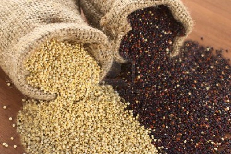 7 ventajas de la Quinoa, el Super-grano del futuro