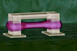 Los músculos de los robots del futuro