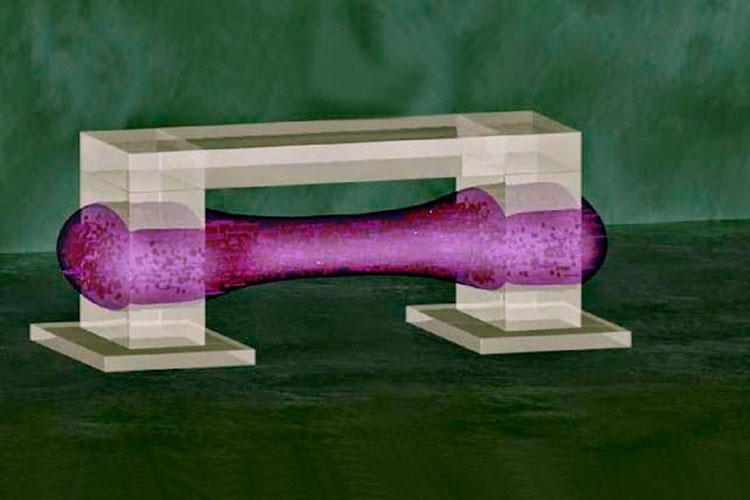 Los músculos de los robots del futuro