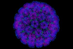 Crea un virus