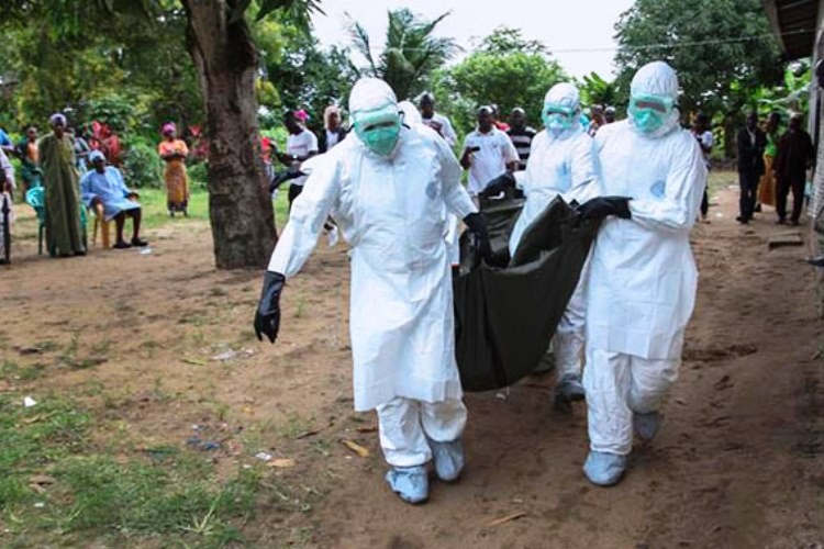 Alerta - Nuevo Virus - ya hay 70 muertos en el Congo
