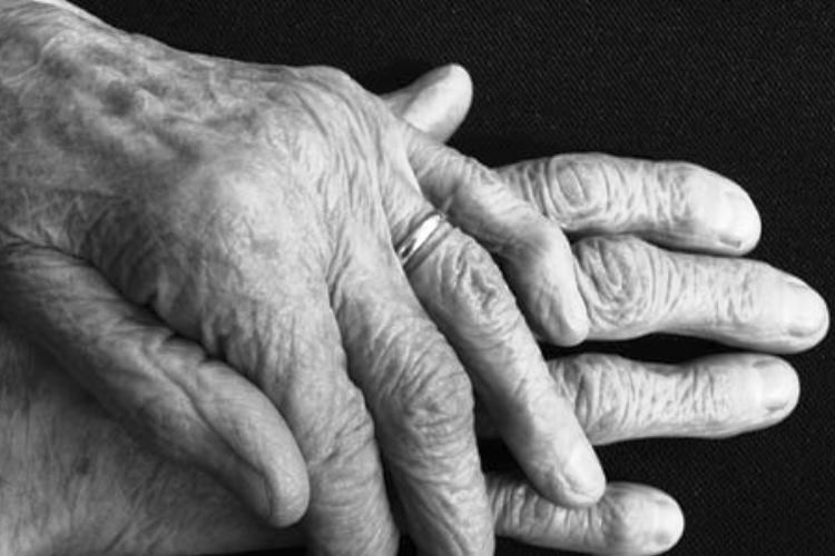 Las arterias son la clave contra el envejecimiento