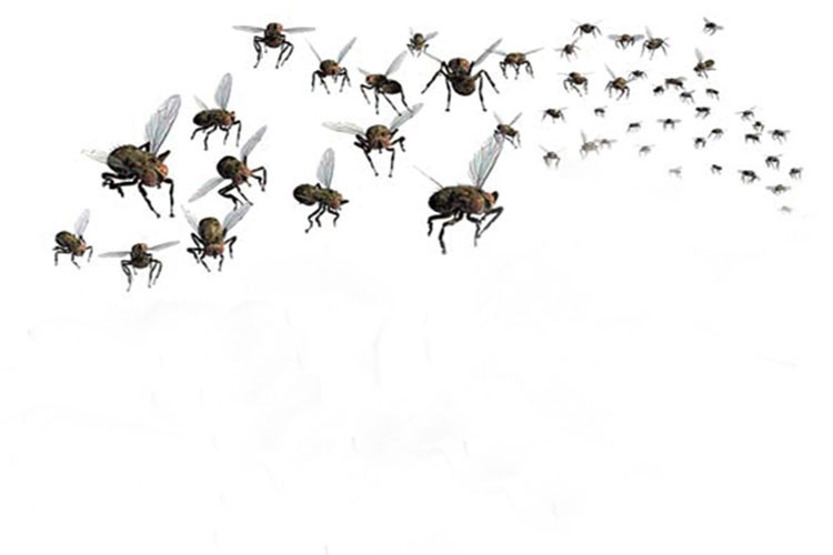 las manchas que flotan en mi ojo