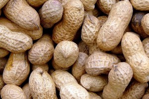 Gran avance contra las alergias a los cacahuetes y trigo