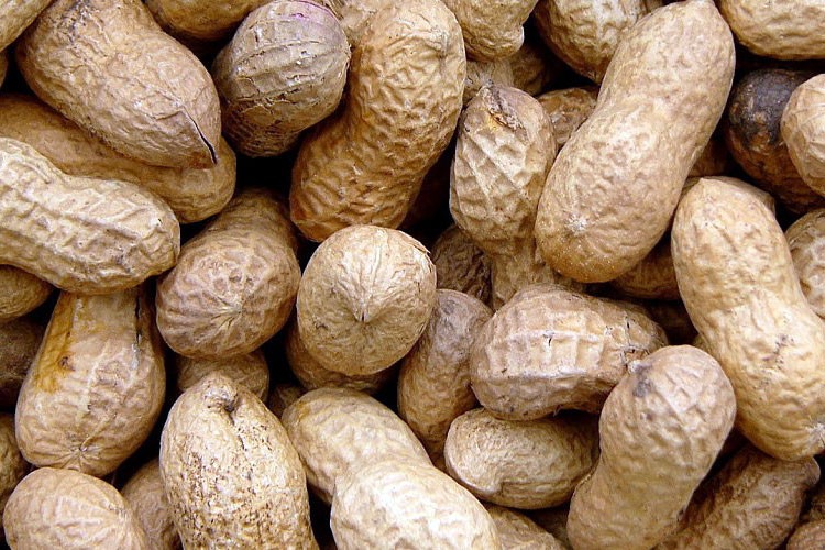 Gran avance contra las alergias a los cacahuetes y trigo