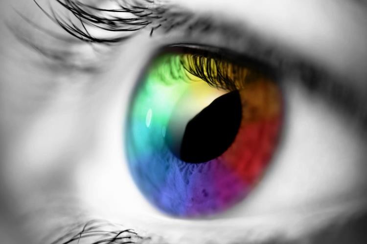 Dieta para ojos saludables