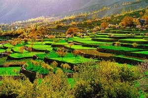 Hunzas, no conocen enfermedades ni vejez