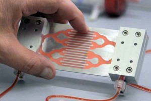 Inventan imán que atrae bacterias y toxinas