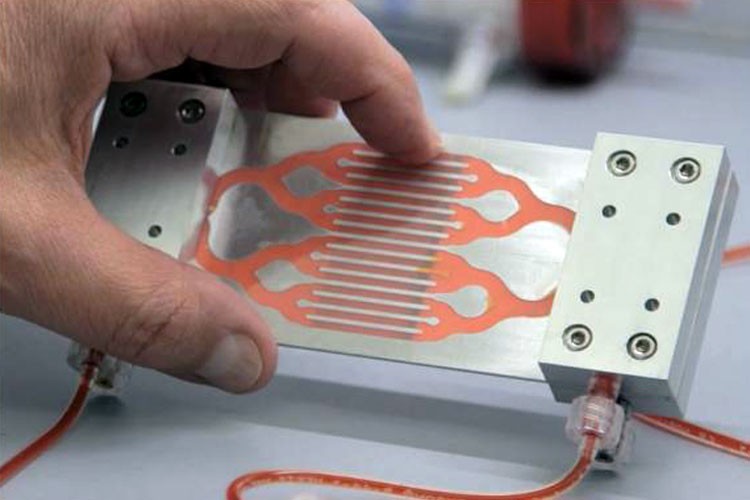 Inventan imán que atrae bacterias y toxinas