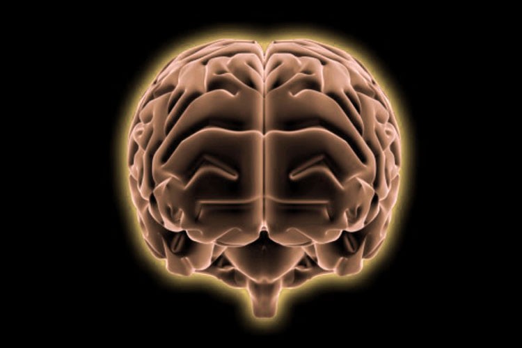 A usted le falta cerebro