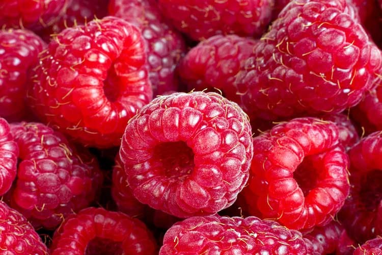 Frambuesas