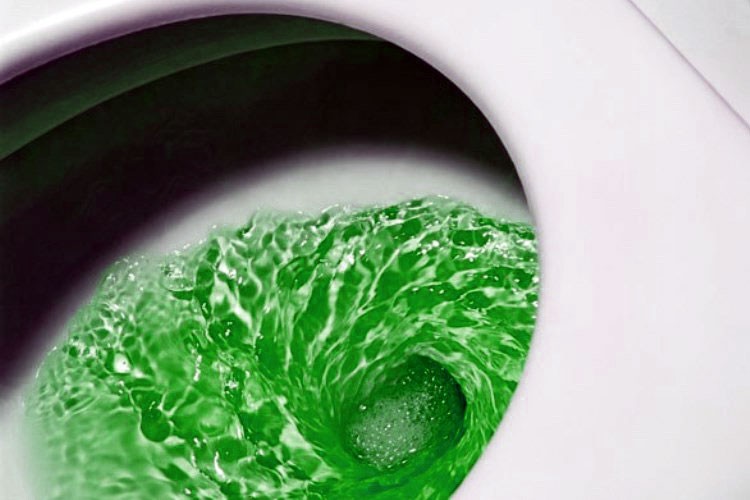 Razón de heces color verde