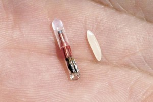 Advierten del uso de microchips en humanos