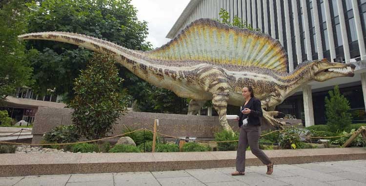 Científicos encuentran animal extraño como alien