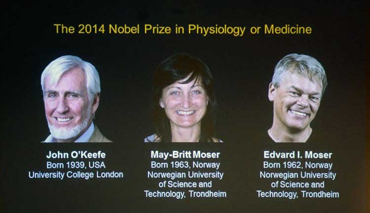 Nobel por descubrir el “GPS” cerebral