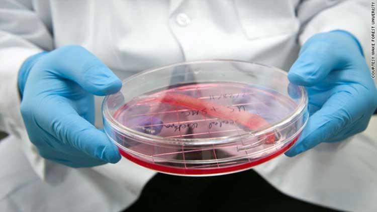 Solución científica para “penes con defectos”