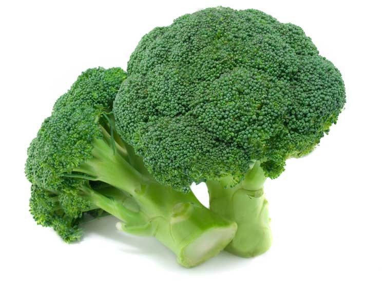 Broccoli