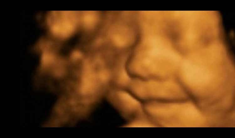 bebé sonriente en el vientre