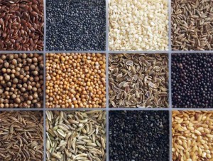 7 Súper semillas para la Salud