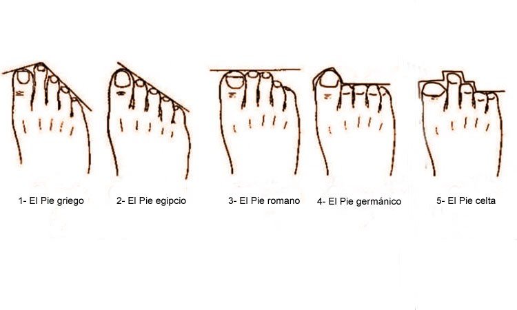 5 tipos de pies
