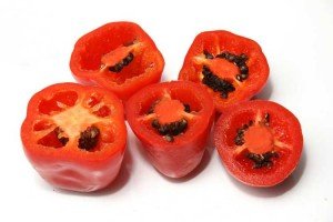 Capsaicina pura