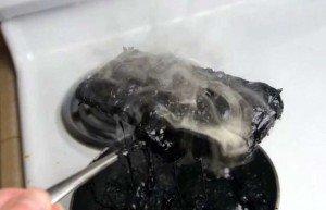 Fritó su iPhone 6 en Coca Cola