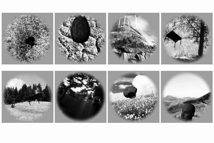 Programa de computación "ve" como los primates