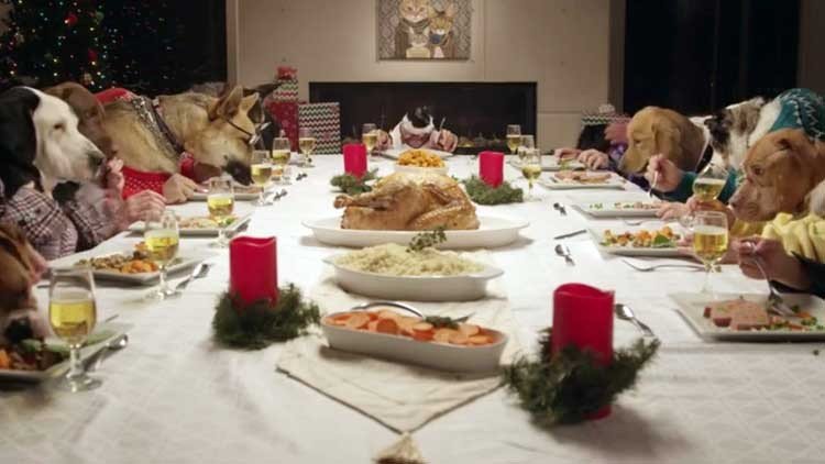 Cena de mascotas en las fiestas